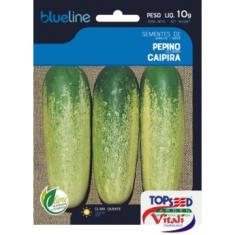 Imagem de Semente pepino caipira