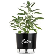 Imagem de Vaso Raiz Auto Irrigável N3 16x14  Sálvia Gourmet