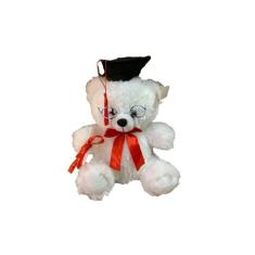 Imagem de Urso de formatura de pelúcia de 30 cm com boné e certificado para crianças