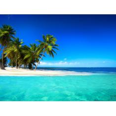 Imagem de Papel De Parede Praia Mar Coqueiros Céu 3D  Npr188