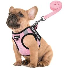 Imagem de FAYOGOO Colete para cães de serviço para raças pequenas – Peitoral leve para cães com 6 peças de adesivos removíveis – Conjunto de coleira e coleira para cachorrinhos para caminhada, treinamento