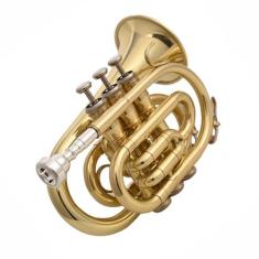 Imagem de Trompete Para Iniciantes B Flat Pocket Trumpet Instrumento Musical Adulto Iniciante Profissional Latão Aço Inoxidável Trompete Tom(Gold)