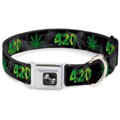 Imagem de Coleira Para Cães Buckle-Down 420 Pot Leaf Preta