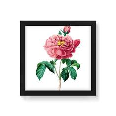 Imagem de Arte Maníacos Quadro Decorativo Camélia  - 30x30cm (Moldura em laca )