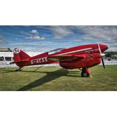 Imagem de Quebra-Cabeça Avião Vermelho 300 Peças - Reidopendrive