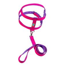 Imagem de Coleira Peitoral De Camurça 25mm Com Aplique Rosa - Nicapet