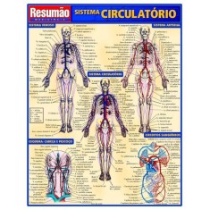 Imagem de Resumão - Sistema Circulatório - Indefinido - 9788588749252