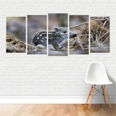 Imagem de Quadro Animais Javali Filhote PorcoBravo Javardo Madeira Canvas