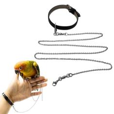 Imagem de Copfeu Corrente de pé de pássaro corda de treinamento de aço inoxidável voando com alça de pulso de couro ao ar livre papagaio tornozelo anel acessórios coleira arnês pássaro coleira evitar escapar