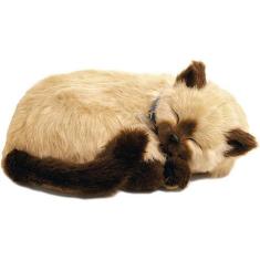 Imagem de Pelúcia De Gato Siames Filhote Carmelo