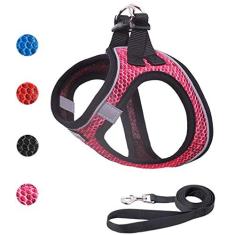 Imagem de Conjunto de coleira e coleira para passear, respirável, leve, de malha macia, para filhotes, gatos, cães, colete refletivo e ajustável, à prova de fuga para cães pequenos e médios