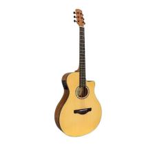 Imagem de Violão Elétrico Michael Stellar VMS260
