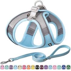 Imagem de AIITLE Peitoral pequeno para filhotes com coleira – Peitoral para cães de primavera com malha super respirável, peitoral refletivo que não puxa para caminhadas ao ar livre, acampamento para cães