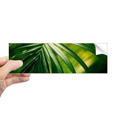 Imagem de DIYthinker Adesivo de para-choques retangular natureza com folhas verdes