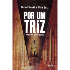 Imagem de Por Um Triz - o Enigma Dos Gnomos Pigmeus - Zatz, Silvia; Gorski, Michel - 9788579800825