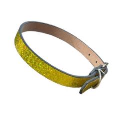 Imagem de Coleira de identificação pra cachorro 42cm x 15mm - IDEA, AMARELO