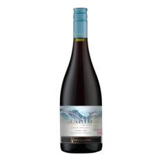 Imagem de Vinho Ventisquero Queulat Gran Reserva Cinsault Tinto Chile 750ml
