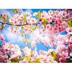 Imagem de Papel De Parede Flores Floral Flor Natural 3D Nfl119