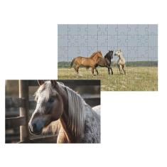 Imagem de Kit 2 Quebra-Cabeças Atividades Para Mente Cavalos 40 Peças