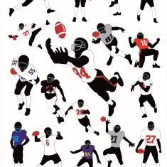 Imagem de Papel De Parede Lavável Jogadas De Futebol Americano 3M