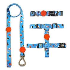 Imagem de Kit Guia + Coleira + Peitoral | SUSHI