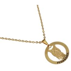 Imagem de Colar Minha Profissão Pedagogia Coruja Folheado Ouro 18k