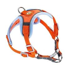 Imagem de Peitoral para animais de estimação, colete, arreios para cães com conjunto de trela, listra refletiva, respirável, conjunto de trela para cães pequenos, médios (M)