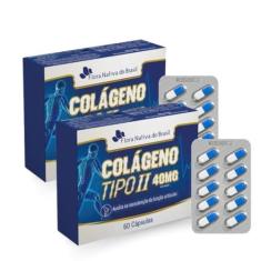 Imagem de Kit Com 2 Colágeno Tipo II 60 Capsulas de 400mg Flora Nativa do Brasil