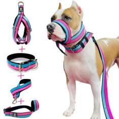 Imagem de Kit Completo Coleira Peitoral Guia Focinheira Para Cachorro Pitbull -