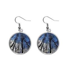 Imagem de Brinco feminino azul celeste verde florestal ciência natureza paisagem orelha pendente prata gota joia