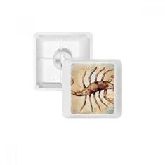 Imagem de Novembro, outubro, constelação do zodíaco, teclado mecânico PBT para jogos