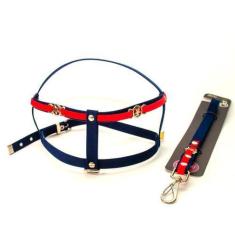 Imagem de Peitoral Coleira E Guia America Tamanho 3 - Cães Linha Luxo - Bicho Co