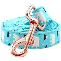 Imagem de Rainbow Coleira para cães, trelas fortes para cães, trela feita à mão para adestramento para cães de estimação, trela durável para cães pequenos, médios e grandes