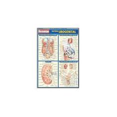 Imagem de Resumão Sistema Urogenital - França, Maria Ignez T. - 9788588749559