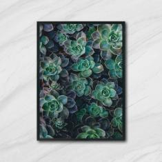 Imagem de Quadro Decorativo Fotografia Suculentas 45x34cm
