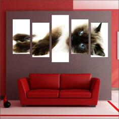 Imagem de Quadro Decorativo Gatos Mosaico 5 Peças Pet Shop Decoração