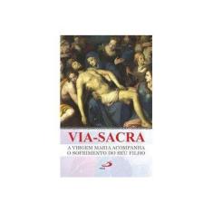 Imagem de Via-Sacra: a Virgem Maria Acompanha o Sofrimento do seu Filho - João Paulo Bedor - 9788534946858