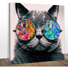 Imagem de Quadro Decorativo Gato Óculos Colorido Midiapoparte 60X60 Cm