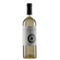 Imagem de Vinho  Chileno Cantagua Clássico Sauvignon Blanc