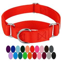 Imagem de Coleira Country Brook Petz Martingale para cães - Coleira de treinamento resistente sem fivela - Coleira para cães de serviço para todos os filhotes - Coleção vibrante e colorida (laranja quente, 2,5