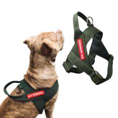 Imagem de Coleira Peitoral Para Cachorro - Modelo Estriado - Canadá K9 Acessório