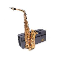 Imagem de Saxofone Alto Dourado Com Semicase 16460 - Dominante