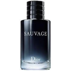Imagem de Sauvage Dior Masculino Eau De Toilette 100Ml