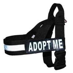 Imagem de Coleira de nylon Adopt ME para cães de serviço, sem guia de puxão, vem com 2 adesivos removíveis Adopt ME refletivos. Meça seu cão antes de fazer o pedido.
