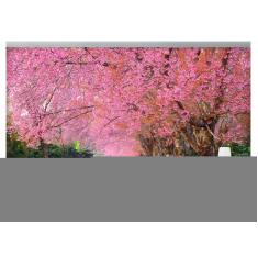 Imagem de Papel De Parede Estrada Caminho Floresta 3D Nes111