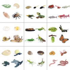 Imagem de Simulação De Figuras De Ação Do Modelo Do Ciclo De Crescimento Animal(Animal