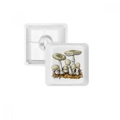 Imagem de Teclado de ilustração de cogumelo branco bonito teclado mecânico PBT kit de atualização para jogos