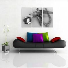 Imagem de Quadro Decorativo Medicina Consultórios Médicos Com 3 peças Com Moldur