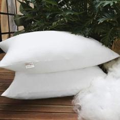 Imagem de Travesseiro Microfibra Sonho 50cmx70cm Bernadete Casa Branco