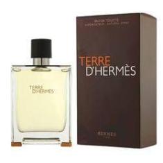 Imagem de Perfume Terre D'hermès Eau De Toilette Masculino Hermès Paris 100ml